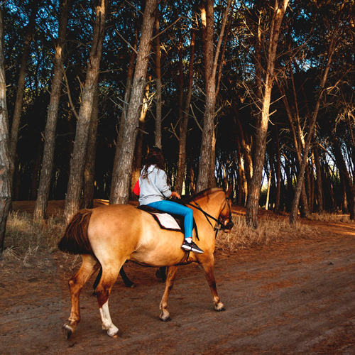 Cabalgatas Necochea